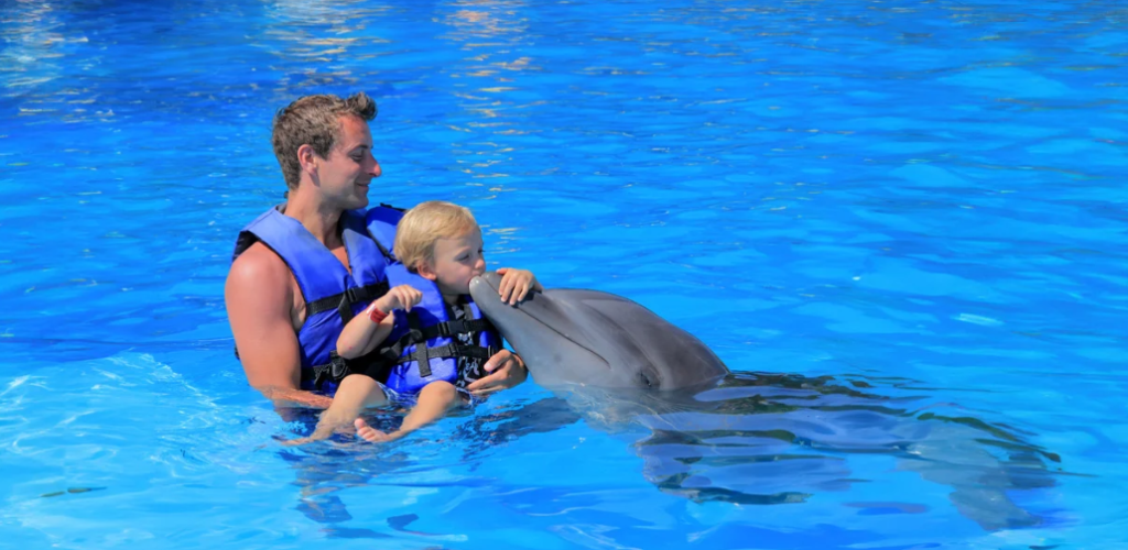 Dolphin Encounters